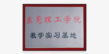 Lisen Automation in 2015