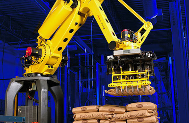 Standard Robotic Palletizing System