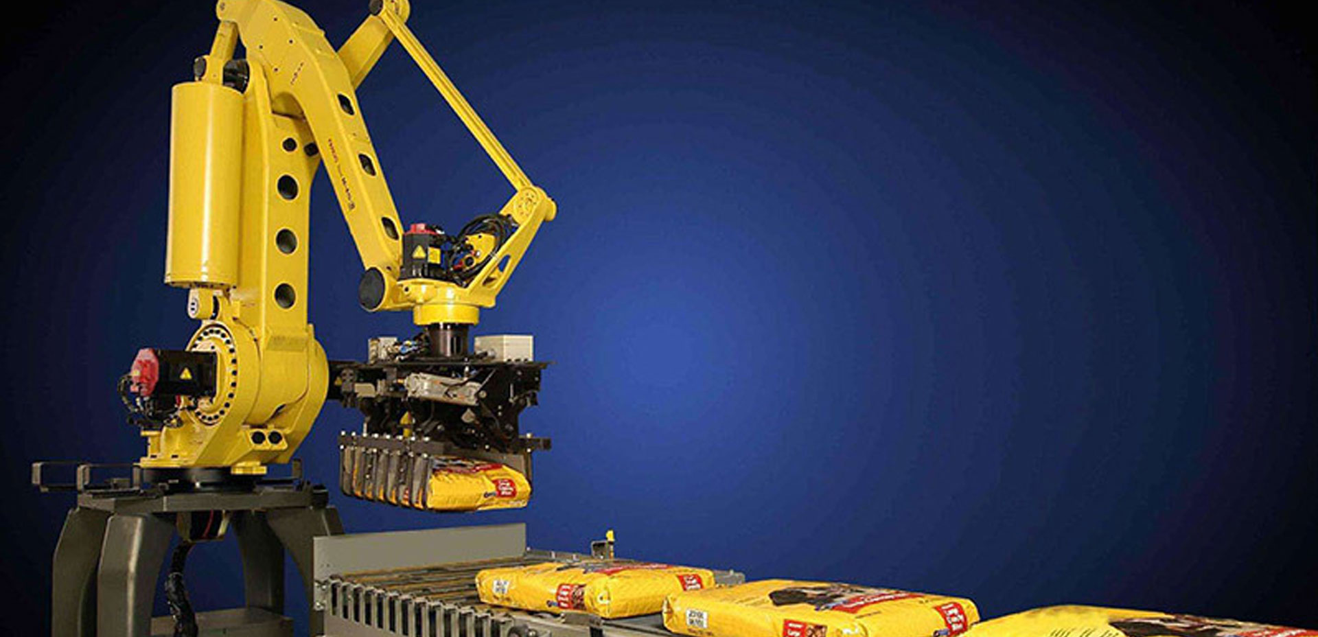 Standard Robotic Palletizing System