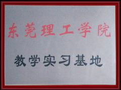 University Teaching Practice Base