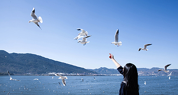 Yunnan Lisen Automation Technology Co., Ltd.