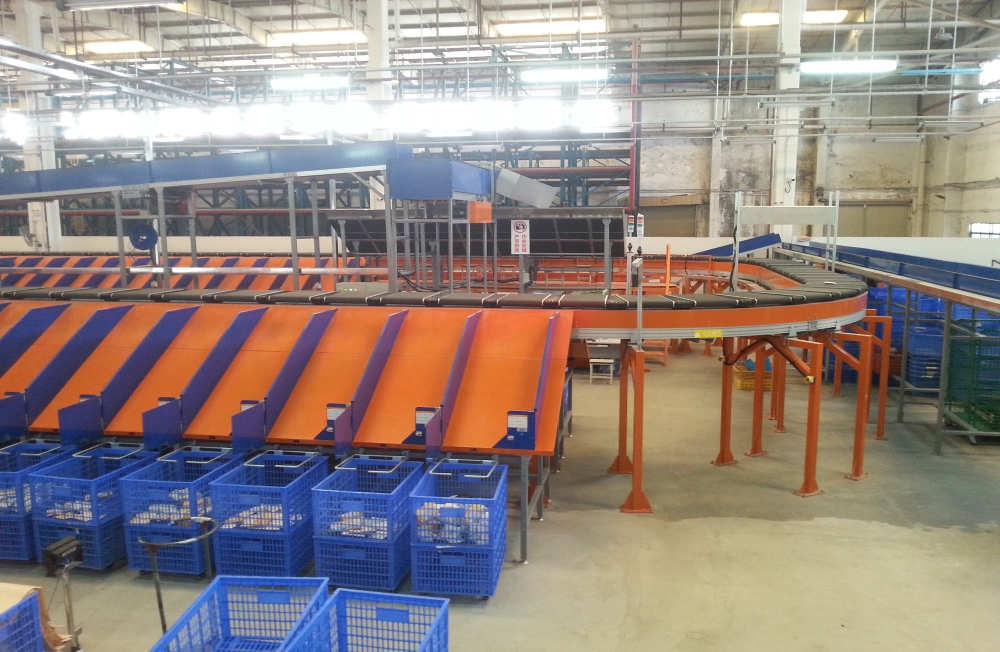 Single-carrier Cross Belt Sorter