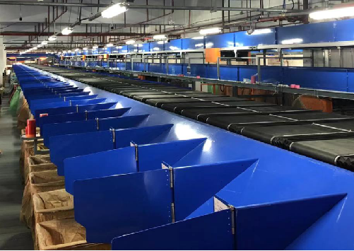 Twin-carrier Cross Belt Sorter