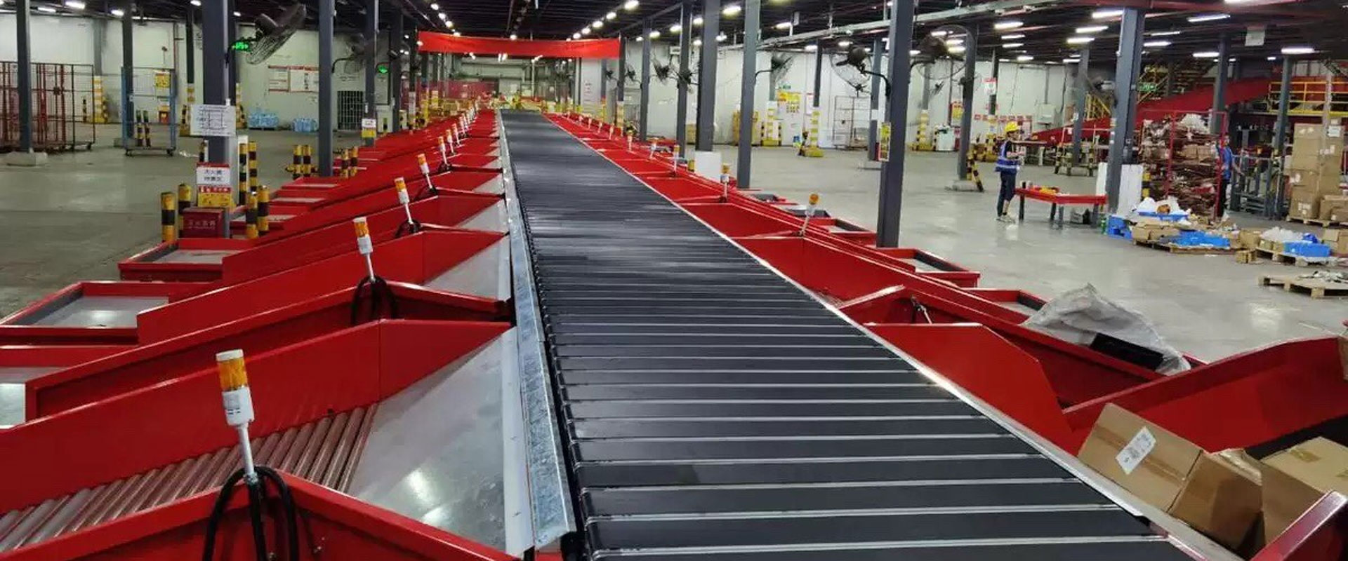 Narrow Belt Sorter